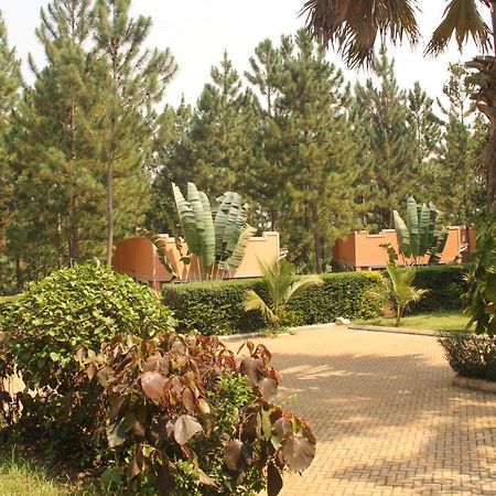 Saltek Forest Cottages Masindi 外观 照片