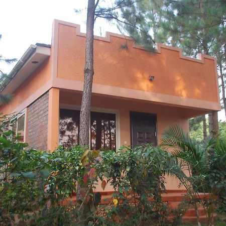 Saltek Forest Cottages Masindi 外观 照片