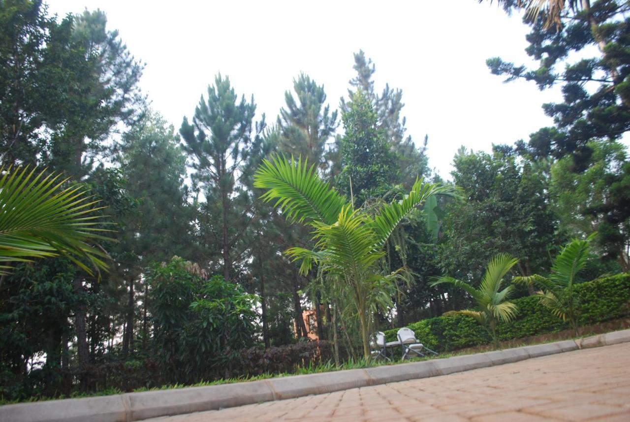 Saltek Forest Cottages Masindi 外观 照片