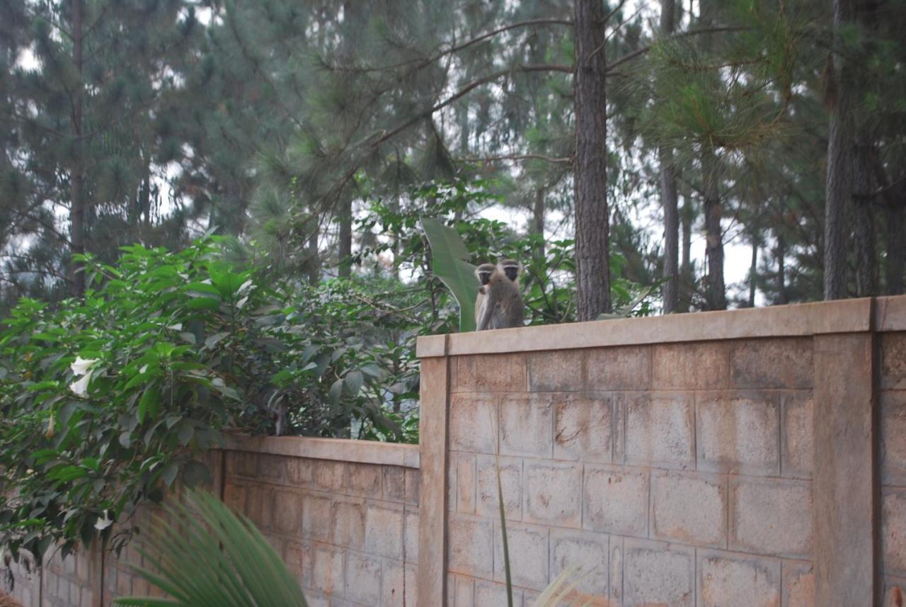 Saltek Forest Cottages Masindi 外观 照片