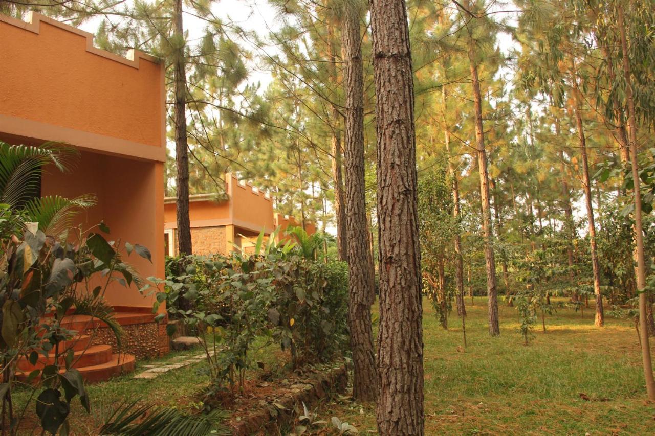 Saltek Forest Cottages Masindi 外观 照片