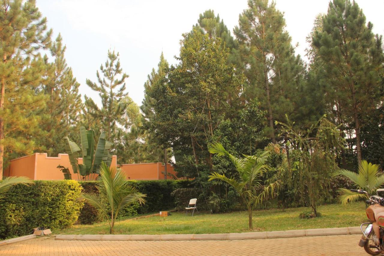 Saltek Forest Cottages Masindi 外观 照片