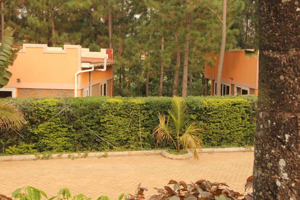 Saltek Forest Cottages Masindi 外观 照片